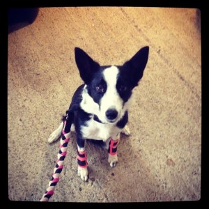 396109_4337131745240_1920488830_n