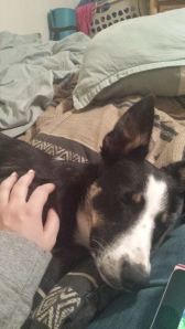 1623798_10203166022970180_1571313801_o