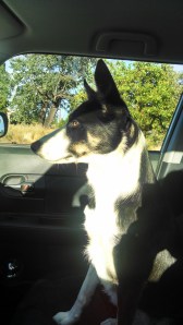 IMG_20140710_192929540_HDR