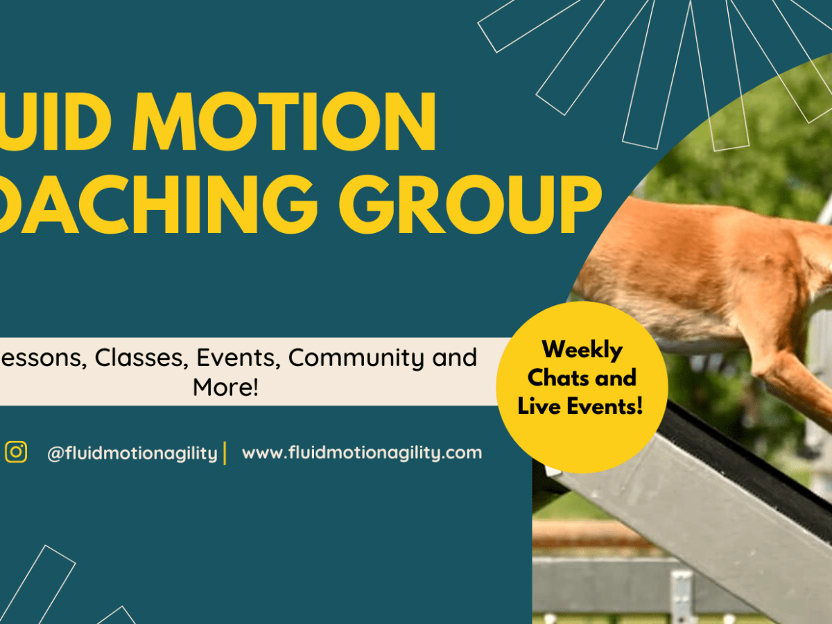 Confidence and Distance