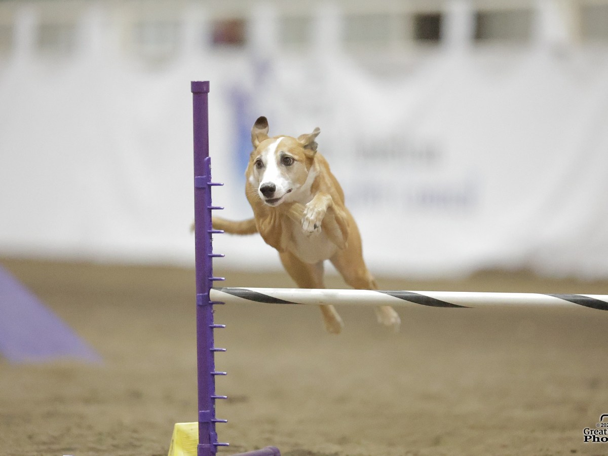 Building Confidence and Drive after a&nbsp;Switch