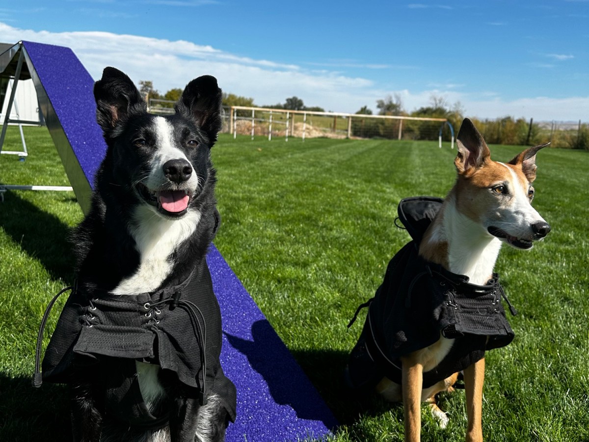 Private Coaching Weekends –&nbsp;2024